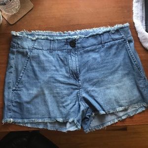 Micheal Kors Spring 2015 Women Shorts